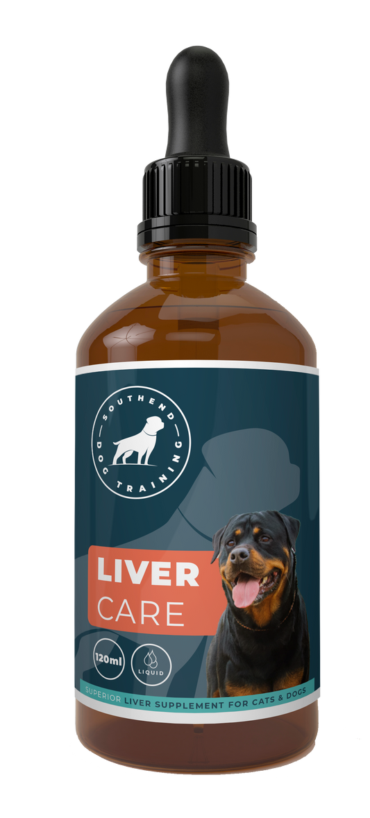 Liver Supplements For Dogs 120ML Liquid